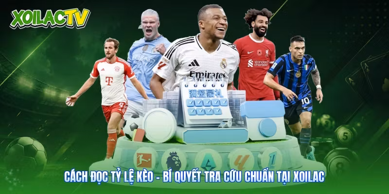 Cách Đọc Tỷ Lệ Kèo – Bí Quyết Tra Cứu Chuẩn Tại Xoilac
