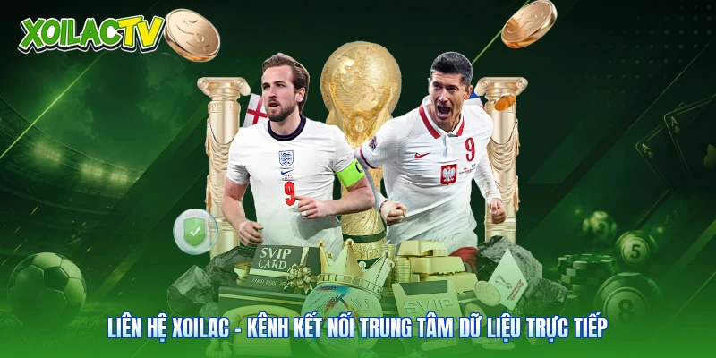 Liên Hệ Xoilac - Kênh Kết Nối Trung Tâm Dữ Liệu Trực Tiếp