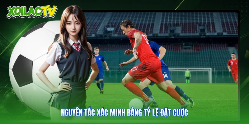 Miễn Trừ Trách Nhiệm - Điều Khoản Cốt Lõi Tại Xoilac 3 Nguyên tắc xác minh bảng tỷ lệ đặt cược