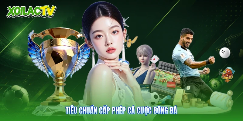 Nhà Cái Bóng Đá Uy Tín - Đánh Giá Chất Lượng Cùng Xoilac 3 Tiêu chuẩn cấp phép cá cược bóng đá