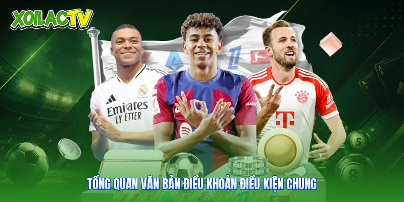 Điều Khoản Điều Kiện | Bộ Quy Tắc Xem Bóng Đá Xoilac 2 Tổng quan văn bản điều khoản điều kiện chung