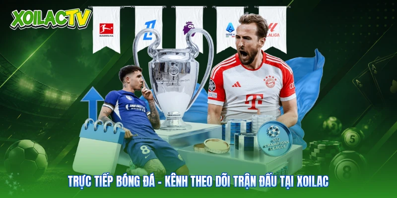 Trực Tiếp Bóng Đá - Kênh Theo Dõi Trận Đấu Tại Xoilac